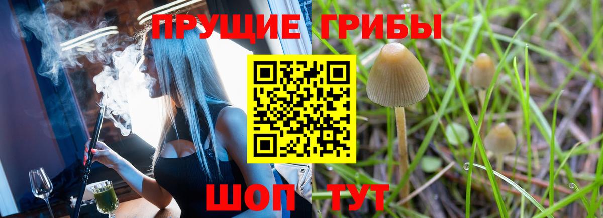 Галлюциногенные грибы MAGIC MUSHROOMS  Вход с VPN  Псилоцибиновые грибы прущие грибы  Ульяновск 